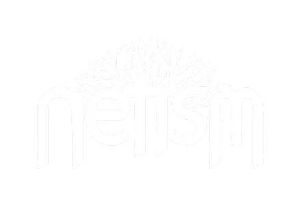 Netism