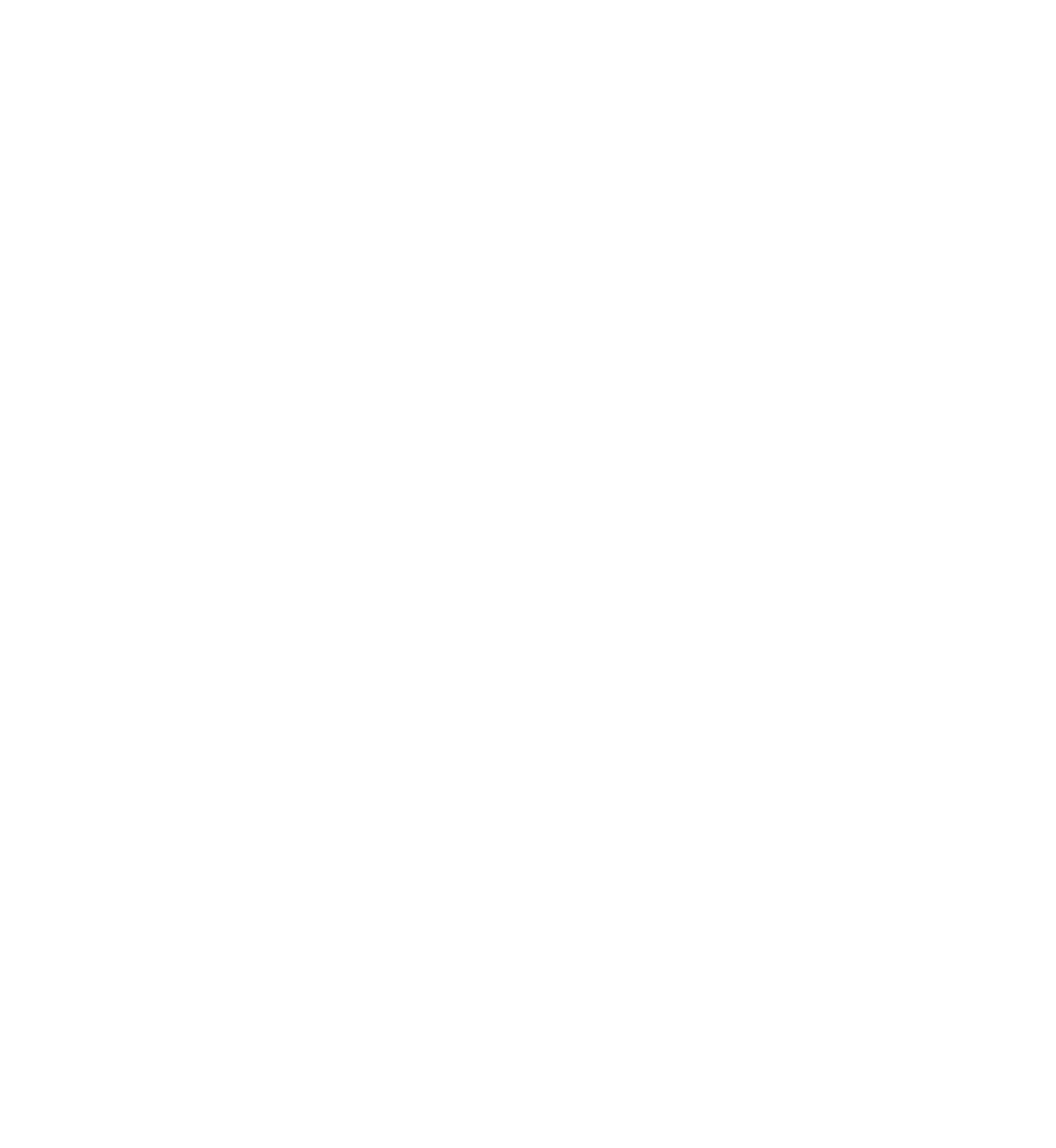 The dodecagram, the twelvefold star of the Net